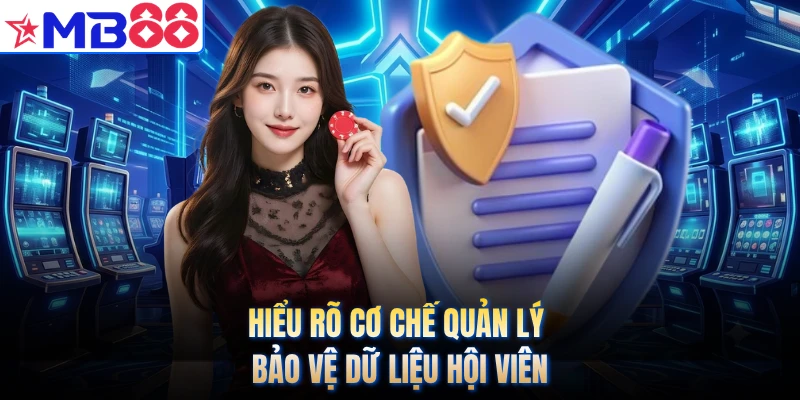 Hiểu rõ cơ chế quản lý bảo vệ dữ liệu hội viên